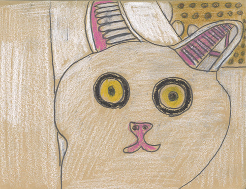 What are you seeing?